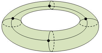 torus